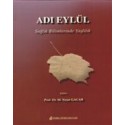 Adı Eylül Sağlık Bilimlernde Yaşlılık