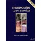 Endodontide Tanı ve Tedaviler