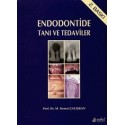 Endodontide Tanı ve Tedaviler