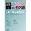 Nefropatoloji Böbrek Hastalıkları ve Böbrek Transplantasyon Patolojisi
