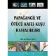 Papağangil ve Ötücü Kafes Kuşu Hastalıkları