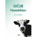 Sığır Hastalıkları