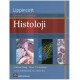 LİPPİNCOTT RESİMLİ AÇIKLAMALI HİSTOLOJİ