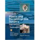 Plastic and Reconstructive Surgery: Approaches and Techniques Hardcover