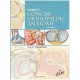 Netter's Concise Orthopaedic Anatomy, Updated Edition, 2e (Netter Basic Science)