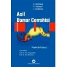 Acil Damar Cerrahisi Pratik Bir Kılavuz