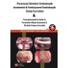 Paranazal Sinüsler Endoskopi Anatomisi & Fonksiyonel Endoskopik Sinüs Cerrahisi DVD'li