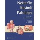 Netter'in Resimli Patolojisi