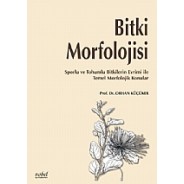 Bitki Morfolojisi Sporlu ve Tohumlu Bitkilerin Evrimi ile Temel Morfolojik Konular