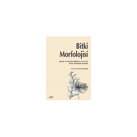 Bitki Morfolojisi Sporlu ve Tohumlu Bitkilerin Evrimi ile Temel Morfolojik Konular