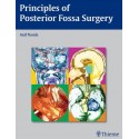 Principles of Posterior Fossa Surgery 1st Edition