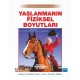 YAŞLANMANIN FİZİKSEL BOYUTLARI