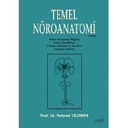 Temel Nöroanatomi