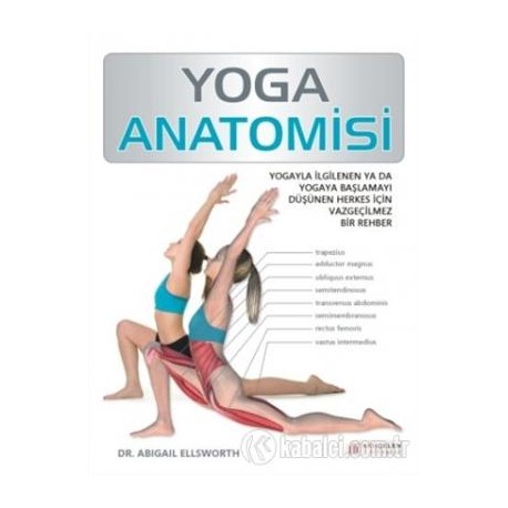 Yoga Anatomisi