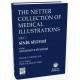 The Netter Collection Of Medical Illustrations Sinir Sistemi:1