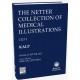 The Netter Collection of Medical Illustrations Kalp: Cilt-5