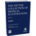 The Netter Collection of Medical Illustrations Kalp