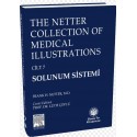 The Netter Collection Of Medical Illustrations Solunum Sistemi