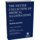 The Netter Collection of Medical Illustrations Üreme Sistemi