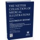 The Netter Collection of Medical Illustrations Kas-İskelet Sistemi