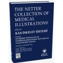 The Netter Collection of Medical Illustrations Kas-İskelet Sistemi: Gelişimsel Bozukluklar