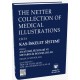 The Netter Collection of Medical Illustrations Kas-İskelet Sistemi: Anatomi, Fizyoloji ve Metabolik Bozukluklar