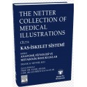 The Netter Collection of Medical Illustrations Kas-İskelet Sistemi