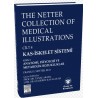 The Netter Collection of Medical Illustrations Kas-İskelet Sistemi