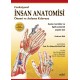 Fonksiyonel İnsan Anatomisi Önemi ve Anlama Kılavuzu Kaslar, Kemikler ve İlgili Anatomik Yapılar için