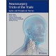 Neurosurgery Tricks of the Trade - Spine and Peripheral Nerves 1st Edition