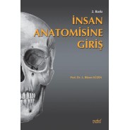 İnsan Anatomisine Giriş