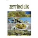 Zeytincilik