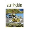 Zeytincilik