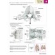 İnsan Anatomisi Atlası