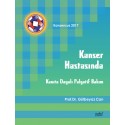 Kanser Hastasında Kanıta Dayalı Palyatif Bakım - Konsensus 2017