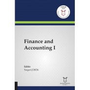 Finance and Accounting I
