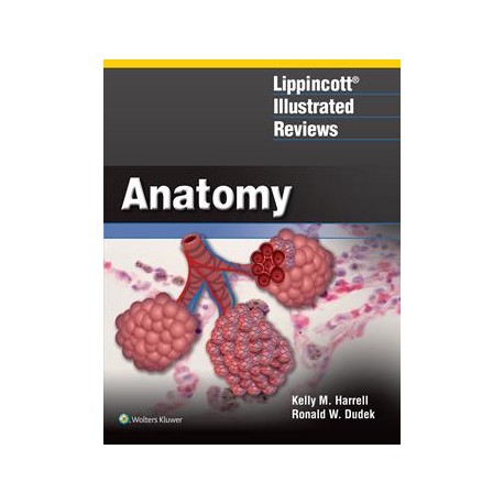 lippincott-illustrated-reviews-anatomy