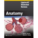 Lippincott Illustrated Reviews: Anatomy