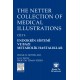 The Netter Collection Of Medical Illustrations Endokrin Sistemi ve Bazı Metabolik Hastalıklar
