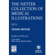 The Netter Collection of Medical Illustrations Üreme Sistemi