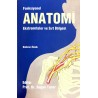 Fonksiyonel Anatomi Ekstremiteler ve Sırt Bölgesi