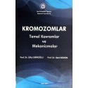 Kromozomlar - Temel Kavramlar ve Mekanizmalar