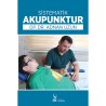 Sistematik Akupunktur