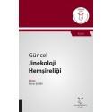 Güncel Jinekoloji Hemşireliği ( AYBAK 2019 Eylül )