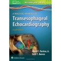 A Practical Approach to Transesophageal Echocardiography