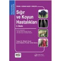 Sığır ve Koyun Hastalıkları