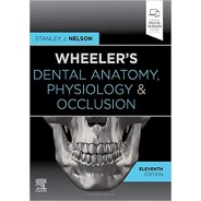 Wheeler's Dental Anatomy, Physiology and Occlusion