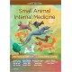 Small Animal Internal Medicine, 6th Edition