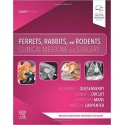 Ferrets, Rabbits, and Rodents: Clinical Medicine and Surgery 4th Edition