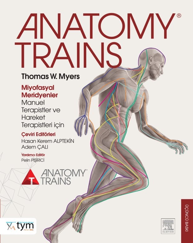 Anatomy Trains Myers TR